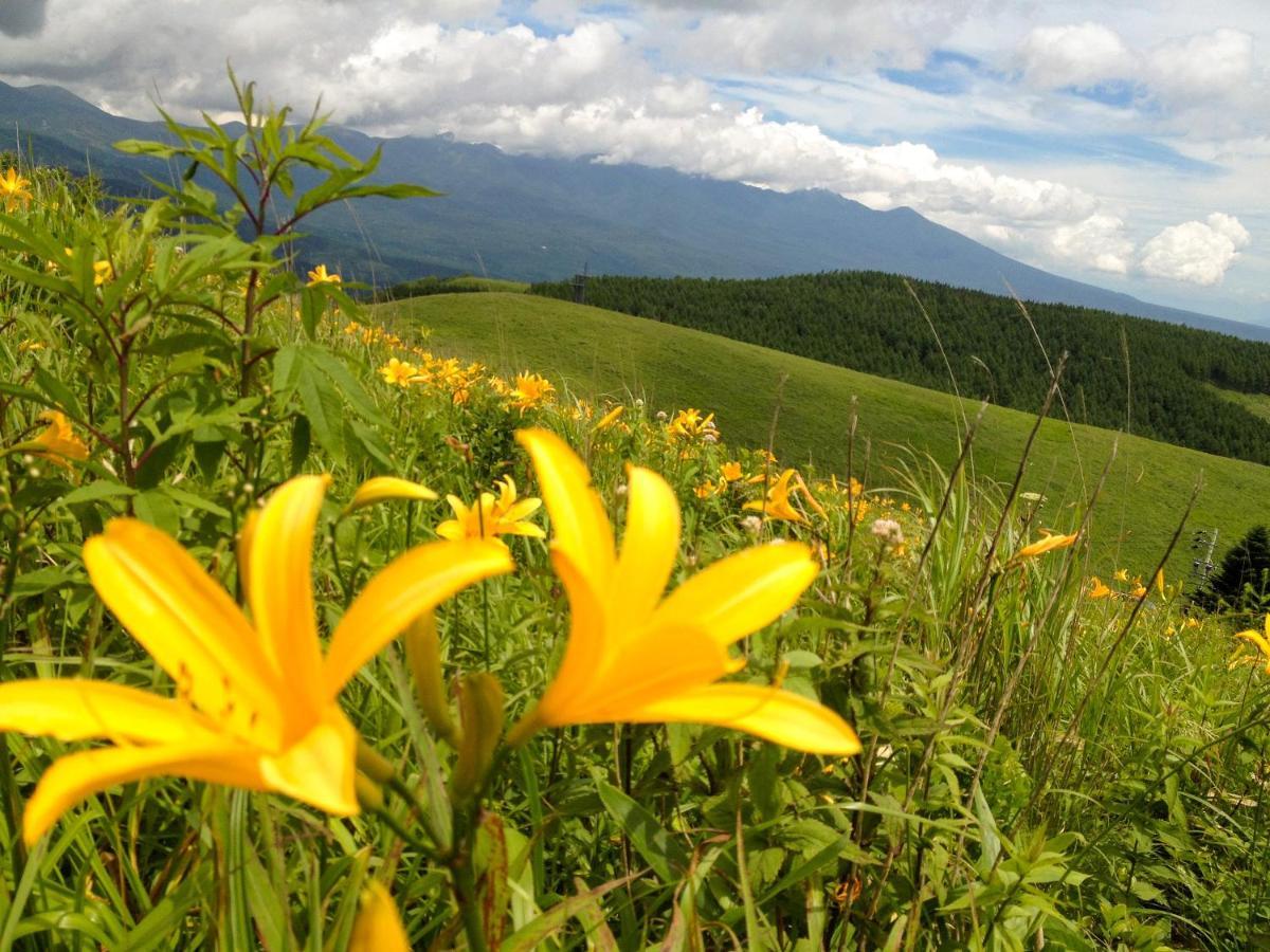 Pension Wildflowers Tateshina (Kitasaku) Exterior foto