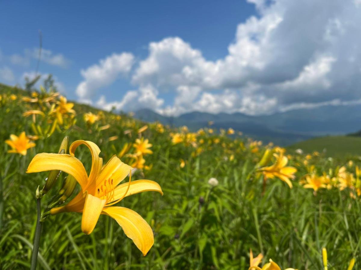 Pension Wildflowers Tateshina (Kitasaku) Exterior foto