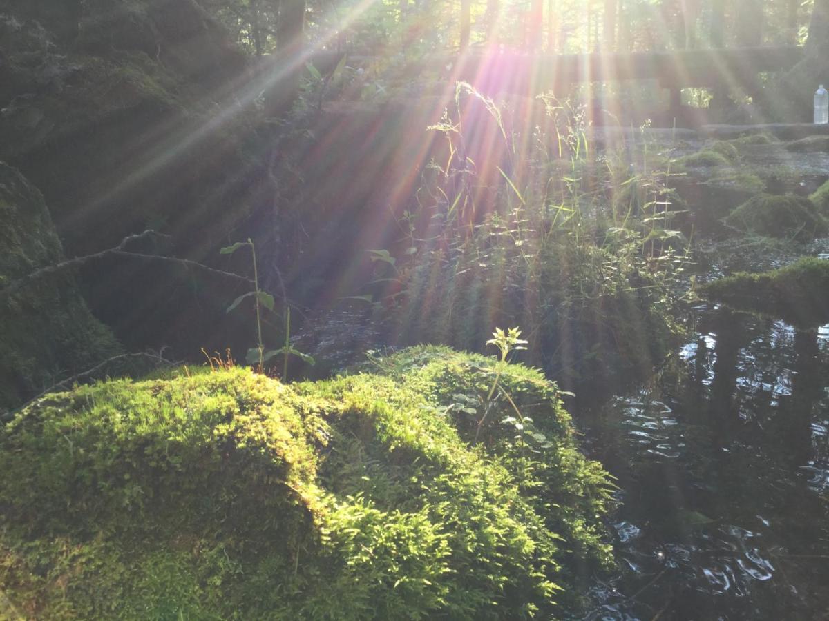 Pension Wildflowers Tateshina (Kitasaku) Exterior foto