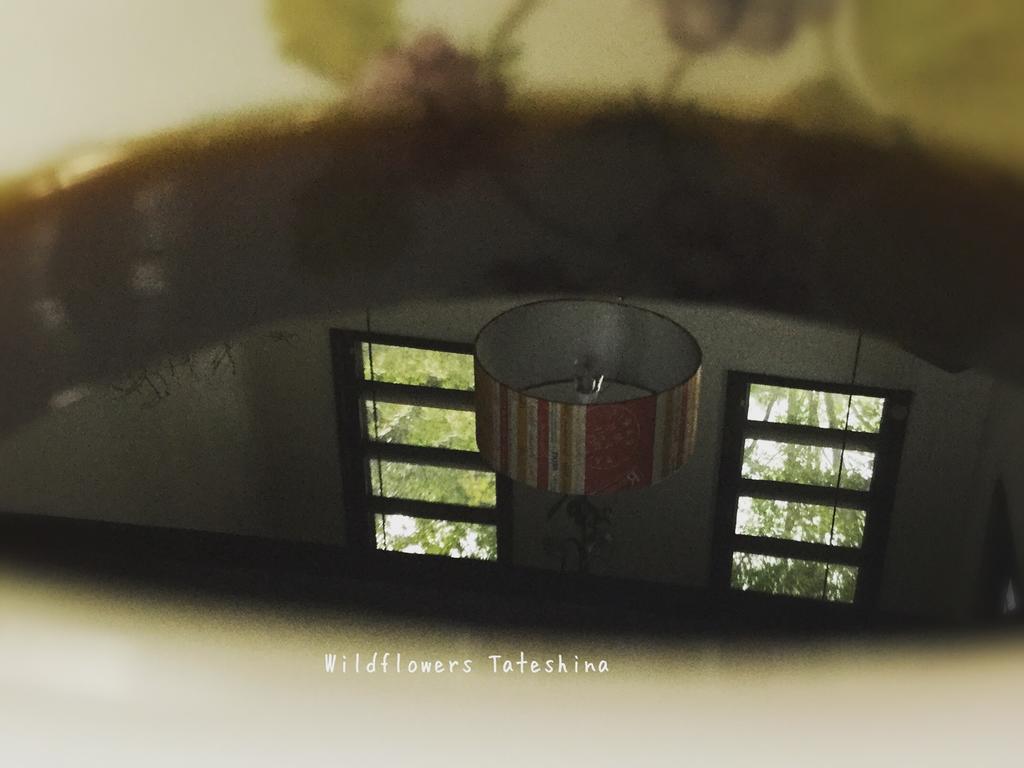 Pension Wildflowers Tateshina (Kitasaku) Exterior foto