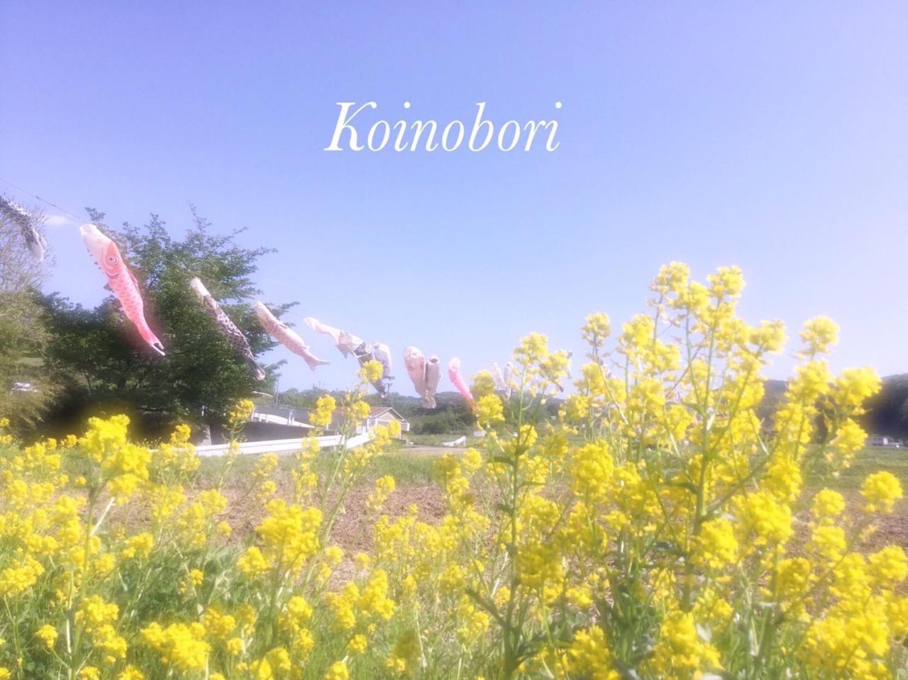 Pension Wildflowers Tateshina (Kitasaku) Exterior foto