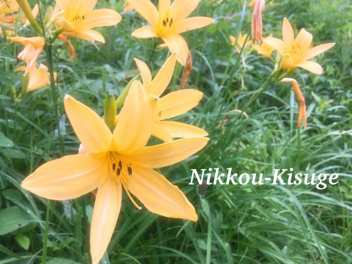 Pension Wildflowers Tateshina (Kitasaku) Exterior foto