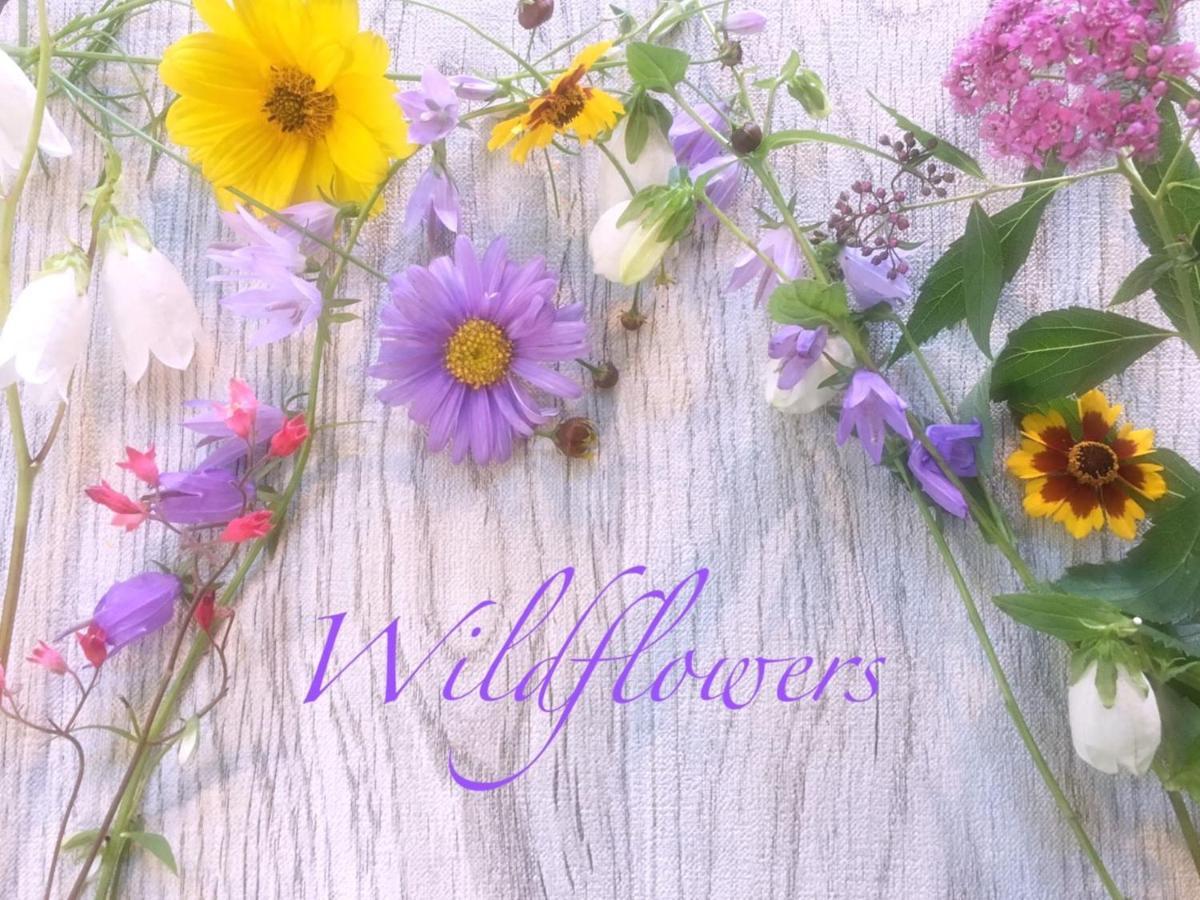 Pension Wildflowers Tateshina (Kitasaku) Exterior foto