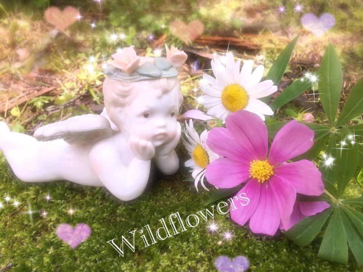 Pension Wildflowers Tateshina (Kitasaku) Exterior foto